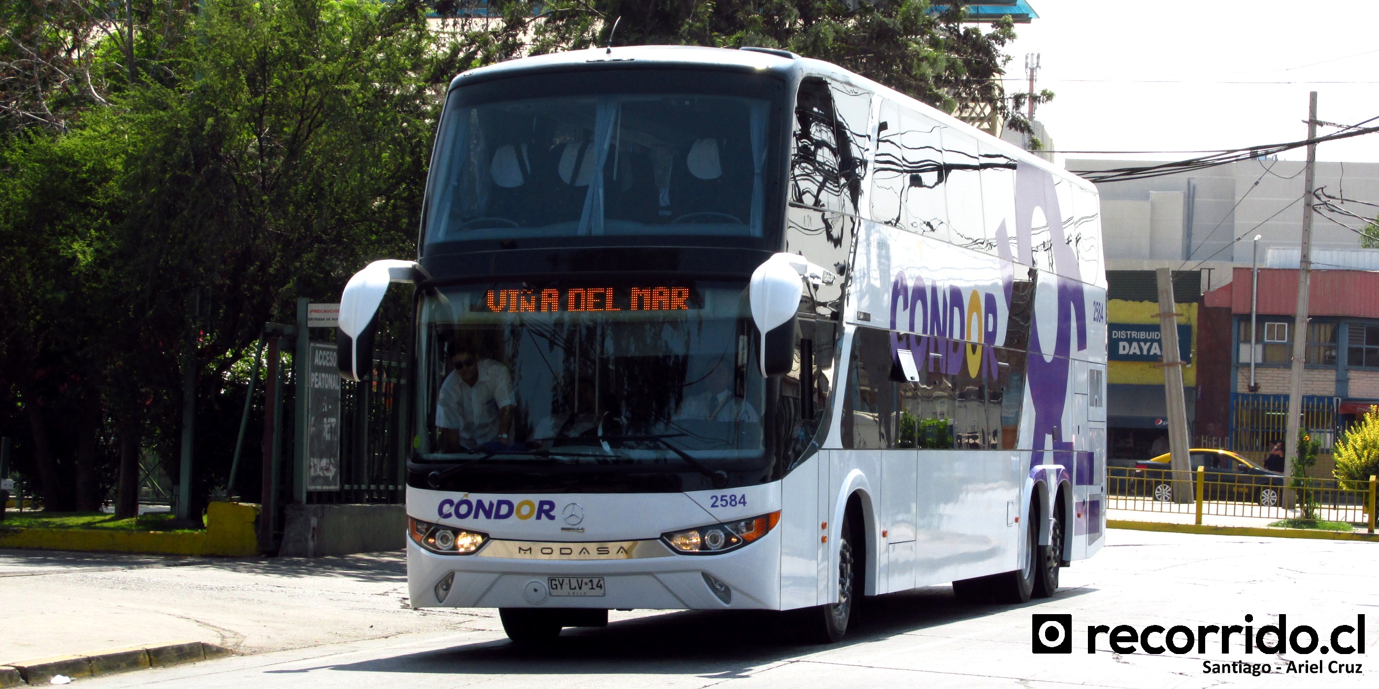 Condor Bus