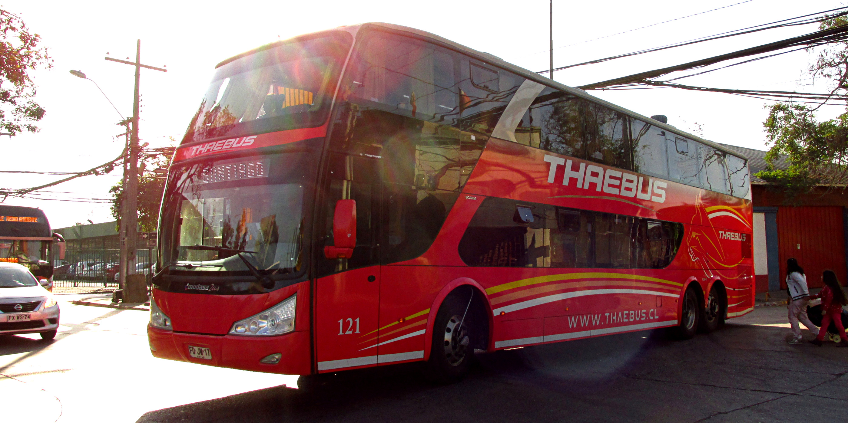 Buses Thaebus