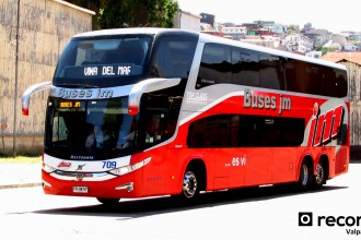 Buses JM