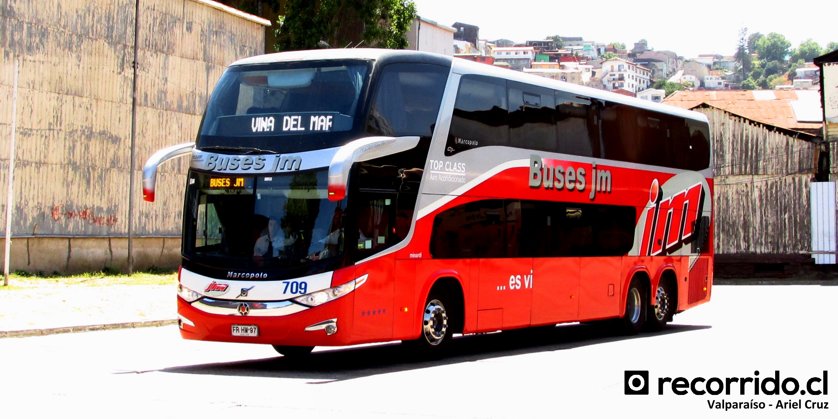 Buses JM
