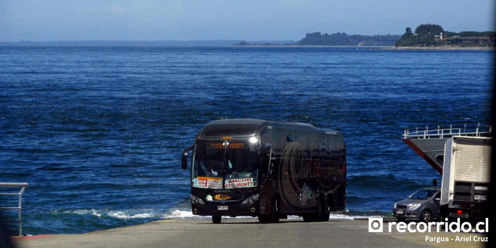 Buses Queilenbus