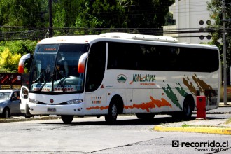 Buses Igillaima Internacional & Narbus