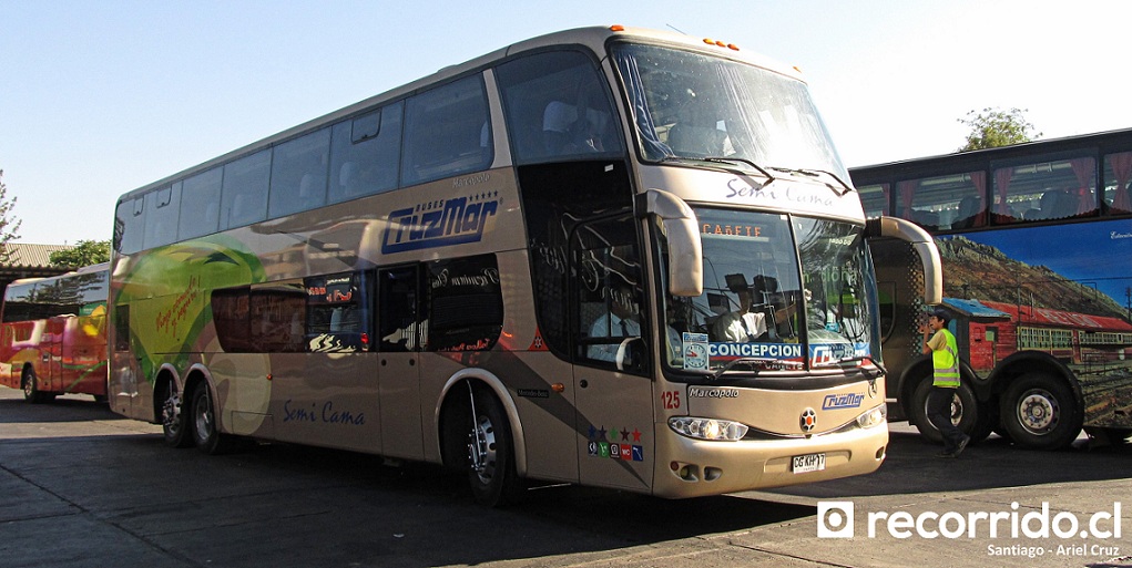 Buses Cruzmar