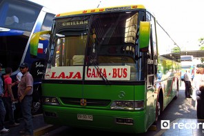 Buses Gama Bus