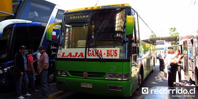 Buses Gama Bus