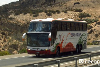 Buses Ramos Cholele