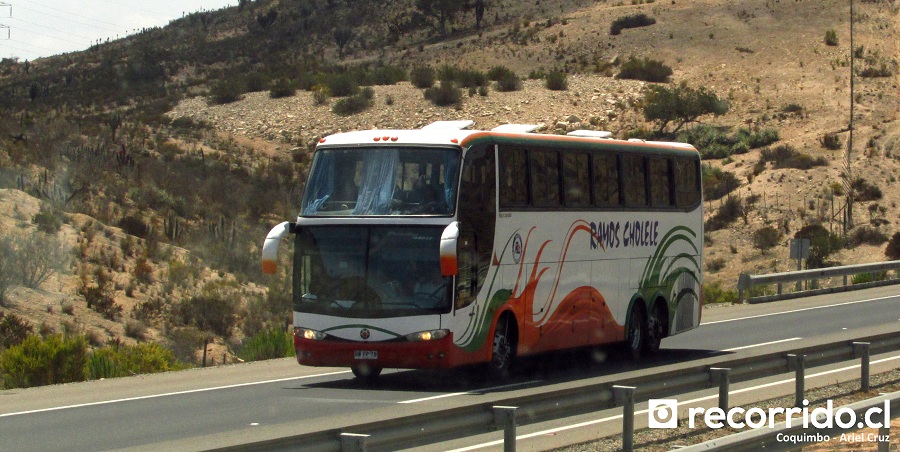Buses Ramos Cholele