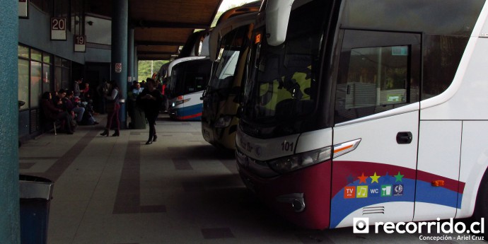 Terminal de Buses Collao Concepción