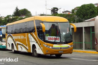 Transaustral Bus