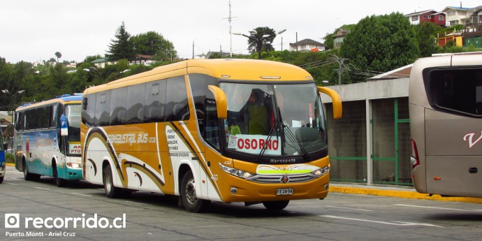 Transaustral Bus
