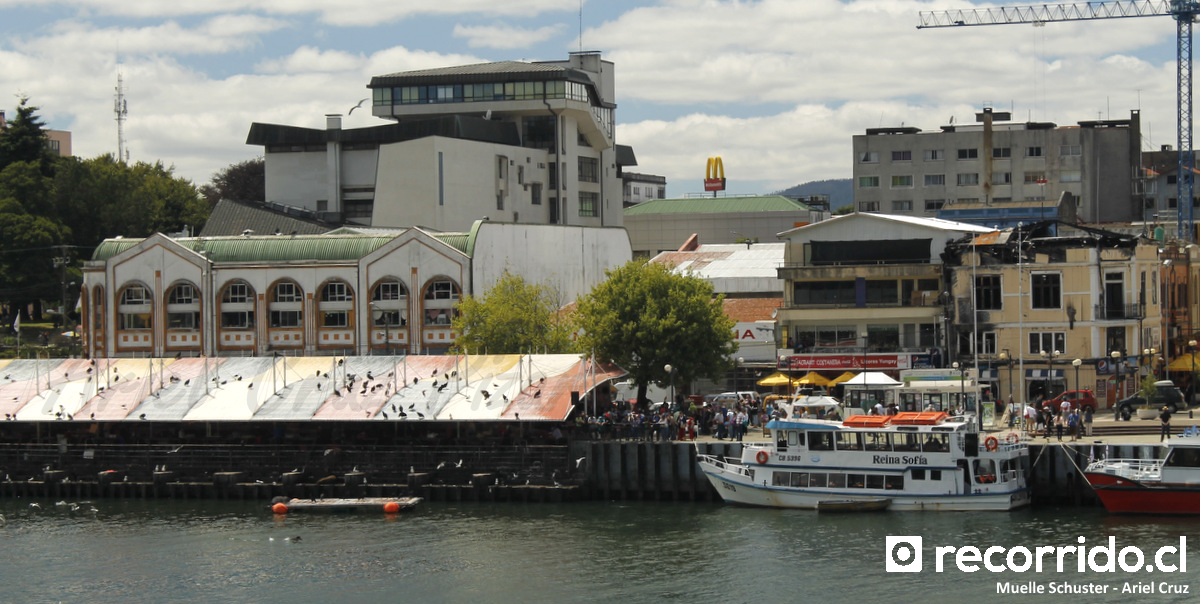 tour catamaran valdivia