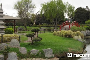 jardín japonés - la serena