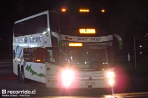 tour catamaran valdivia