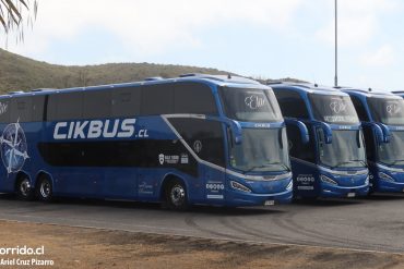 Cikbus Elite modasa Zeus 5